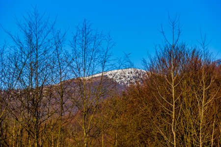 the peak of Parashka is visible in the distance through branches, national park Skolivski beskidy, Lviv region of Western Ukraineの写真素材