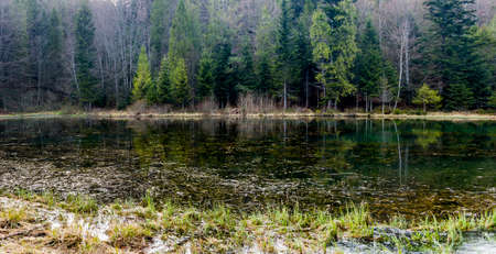 Polianytske lake in the forest in carpathian mountains, national park Skolivski beskidy, Lviv region of Western Ukraineの写真素材