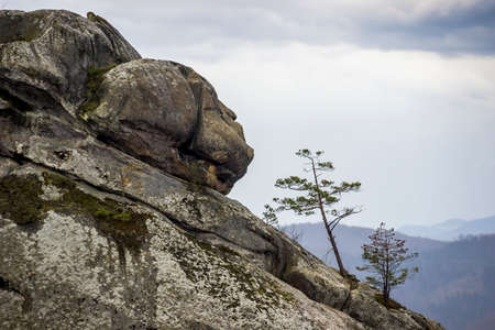 big stone head in the rocks of Dovbush view in Ukrainian Carpathian, Polyanytskiy Regional Landscape...