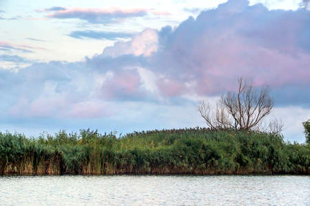 landscape of the lake in the Ukrainian part of the Danube Delta, Odessa region, Ukraine