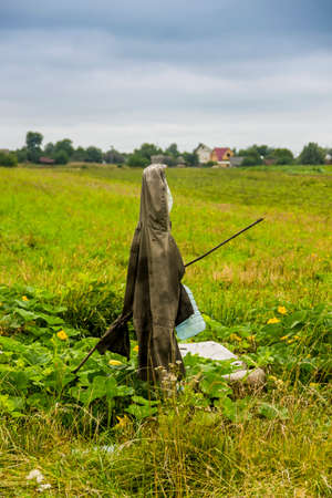 a primitive scarecrow standing in a garden near the blossoming pumpkinsの写真素材