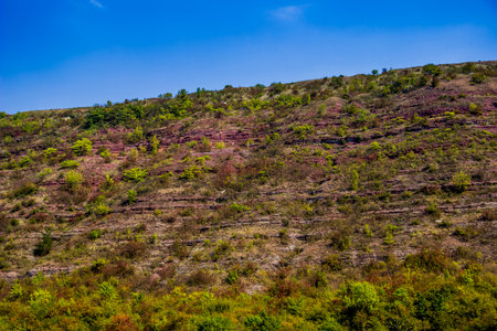 geological exfoliation on steep rocky bank of Dnister river, National Nature Park Dnister Canyon, Ternopil region of Western Ukraineの写真素材
