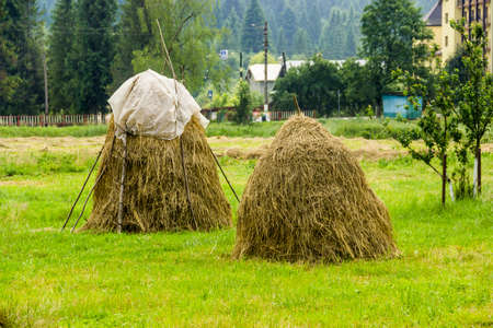 a two haystacks in the backyard in a Ukrainian village in the Carpathians