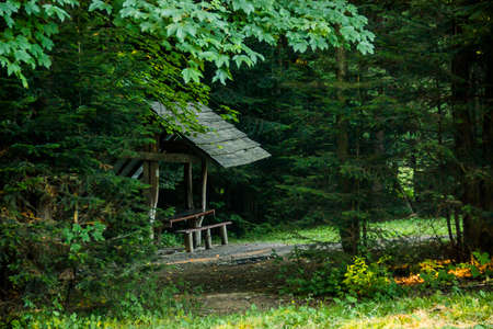 a one a rough wooden gazebo for rest in the forestの写真素材