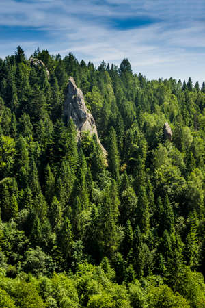 a rocks in place of Tustan fortress - a Medieval cliff-side fortress-city, archaeological and natural monument in Skole Beskids National Nature Park, Lviv region, Ukraineのeditorial素材