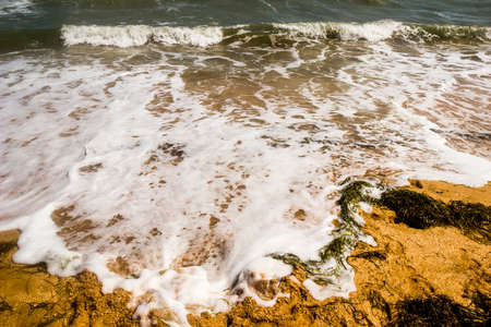 close-up of sand and foam at the sea beach, Sea of Azov, Ukraine