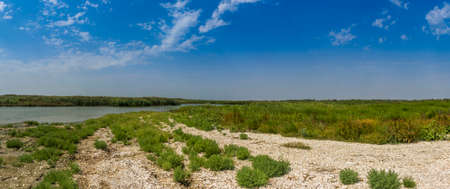 a panoramic landscape of the Danube delta, Odessa region, Ukraine