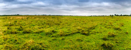 panoramic view of a big wide meadow of green grass