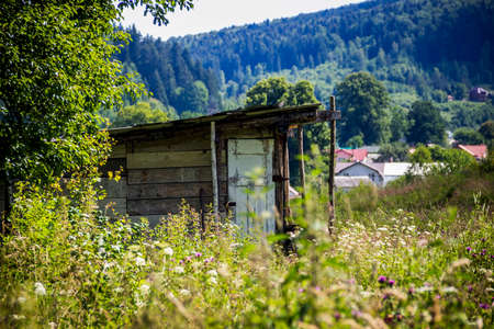 a wooden shed on backyard in ukrainian villageの写真素材
