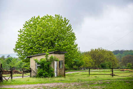 small barn and tree near the wooden fence on the edge of the Ukrainian village
