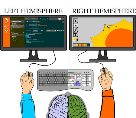 brain function concept with cartoon of man different working with pc of right and left brain hemispheres vector illustrationのイラスト素材