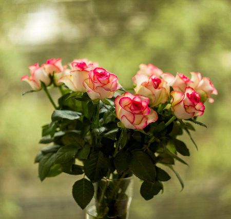 close-up of a small pink roses bouquetの写真素材
