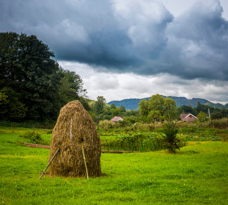 a haystack in the backyard in a Ukrainian village in the Carpathiansの写真素材