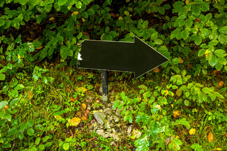 close-up of a black emprty pointer arrow in the forestの写真素材