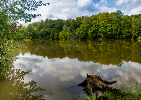 lake in the Carpathian mountain forest, Hutsulshchyna National Park, Ivano-Frankivsk region, Ukraineの写真素材