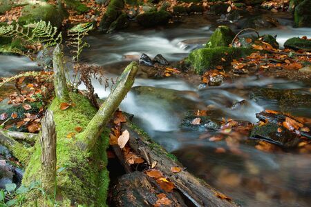 beautiful cascade waterfall in autumn forestの写真素材