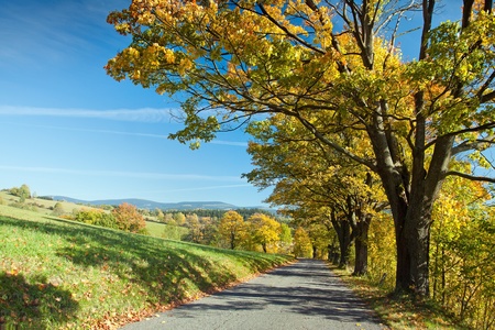 Autumn View of a beautiful landscapeの写真素材