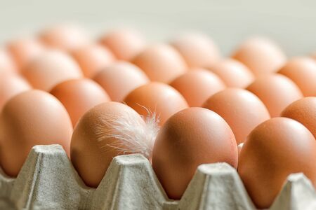 Eggs in a box with a feather in the foregroundの写真素材