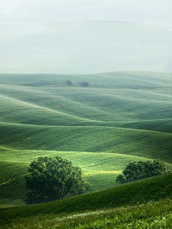 Rural countryside landscape in Tuscany region of Italyの写真素材