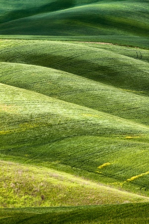 Rural countryside landscape in Tuscany region of Italyの写真素材
