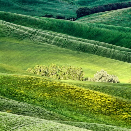 Rural countryside landscape in Tuscany region of Italyの写真素材