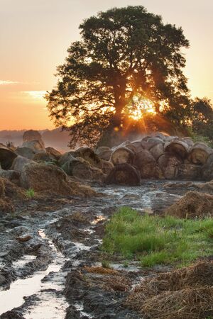 Scenic view of beautiful landscape bei sunrise or sunsetの写真素材