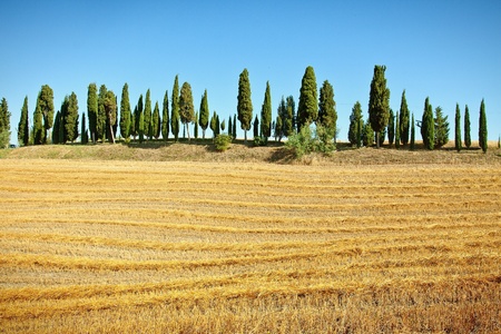 Scenic view of typical Tuscany landscapeの写真素材
