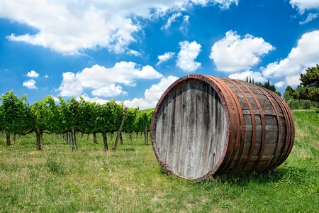 Wine, wine barrel and background of vineyard on a bright summer day in Tuscany
