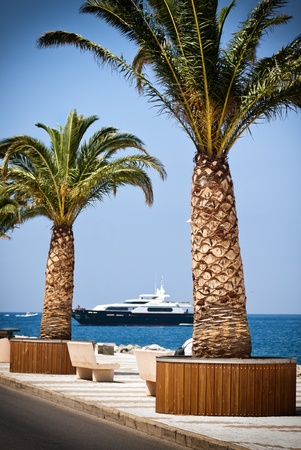 Ship, blue sea and palm tree の写真素材
