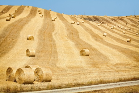 Beautiful golden hay bales on the field as backgroundの写真素材