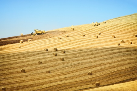Beautiful golden hay bales on the field as backgroundの写真素材