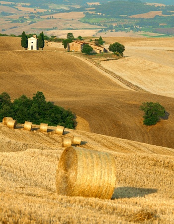 Scenic view of typical Tuscany landscapeの写真素材