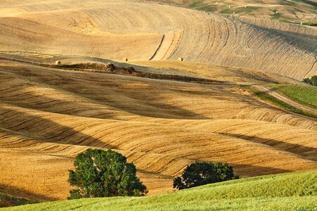 Scenic view of typical Tuscany landscapeの写真素材