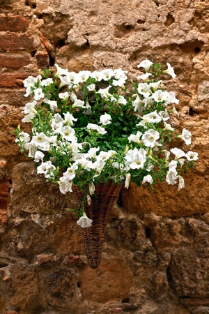 Beautiful picturesque nook of rural Tuscanyの写真素材