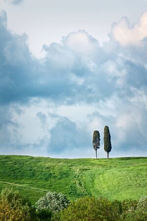 Beautiful landscape with blue sky and treesの写真素材