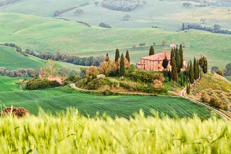 Scenic view of typical Tuscany landscape