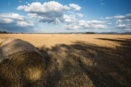 Hay Bales in the countryside on a perfect day duskの写真素材