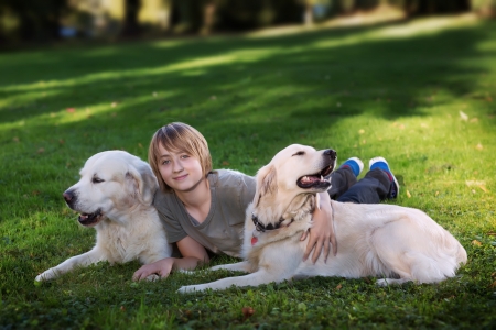  Little boy in the park with a golden retriever dog の写真素材