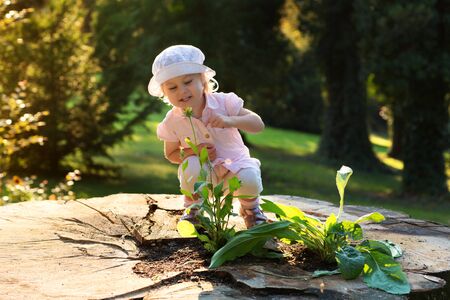 Pretty little girl standing on a large tree stump の写真素材