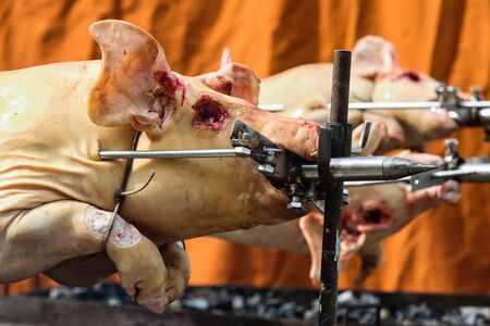 Raw whole pig on a spit - ready for roastingの写真素材