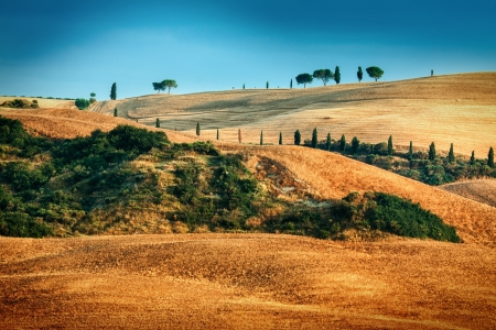 Scenic view of typical Tuscany landscape の写真素材