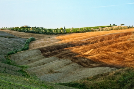 Rural countryside landscape in Tuscany region of Italyの写真素材