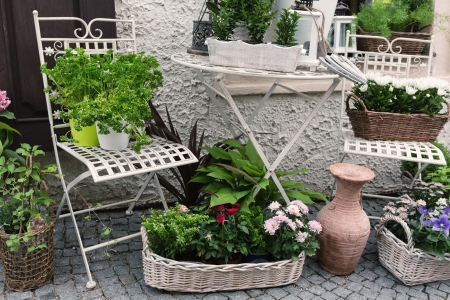 Herb leaf selection in a rustic wooden basket including, rosemary, purple and variegated sage, lemon balm, oregano and flowerの写真素材