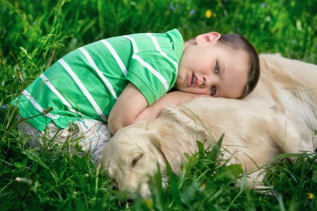 A little boy and his dogの写真素材