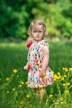 Cute little girl in a meadow full of flowersの写真素材