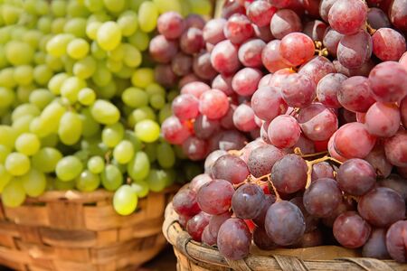 Red and white grapes of different varietiesの写真素材