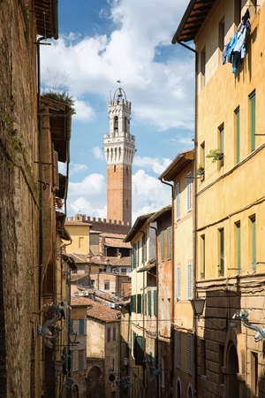 View of the historic streets with a view of the tower Torre del Mangia in Siena, Tuscany - Italy.の写真素材