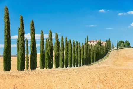 View the actual landscape of Tuscany, Italyの写真素材