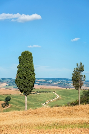 View the actual landscape of Tuscany, Italyの写真素材