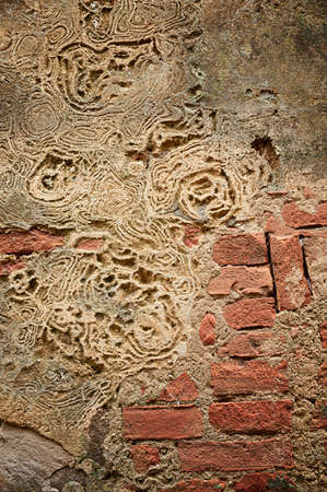 Close up color grunge wallの写真素材